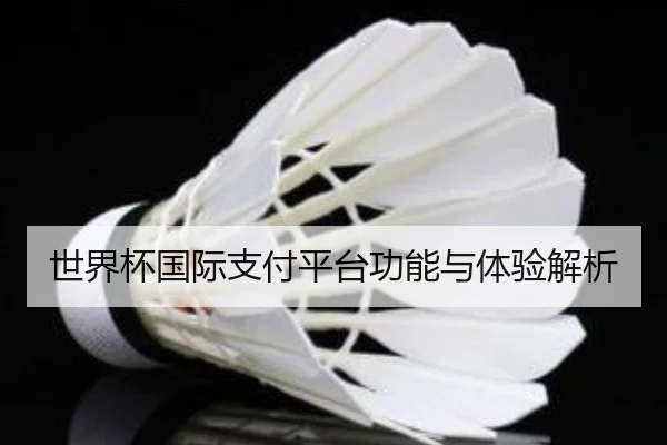 世界杯国际支付平台功能与体验解析
