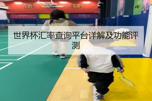 世界杯汇率查询平台详解及功能评测