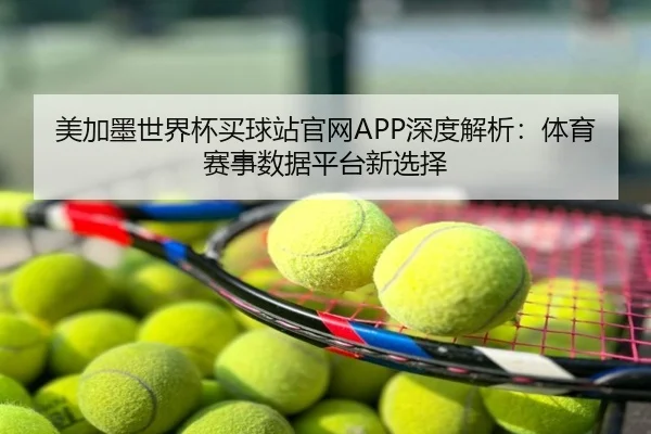 美加墨世界杯买球站官网APP深度解析：体育赛事数据平台新选择