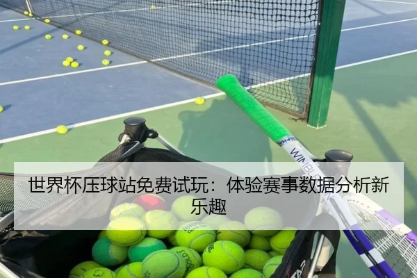 世界杯压球站免费试玩：体验赛事数据分析新乐趣