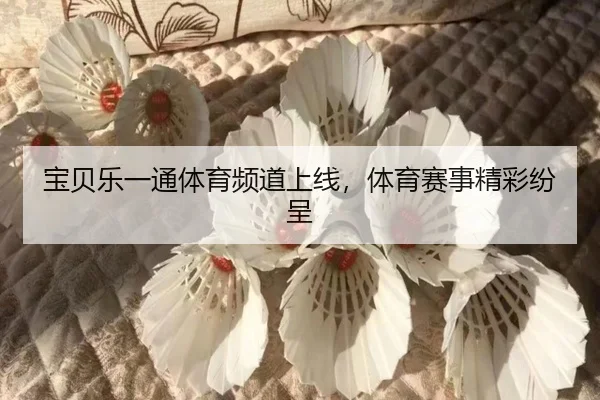 宝贝乐一通体育频道上线，体育赛事精彩纷呈