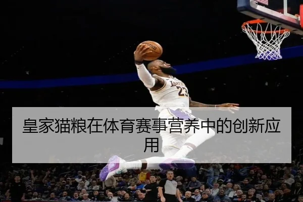 皇家猫粮在体育赛事营养中的创新应用