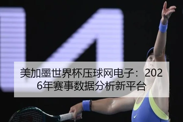 美加墨世界杯压球网电子：2026年赛事数据分析新平台