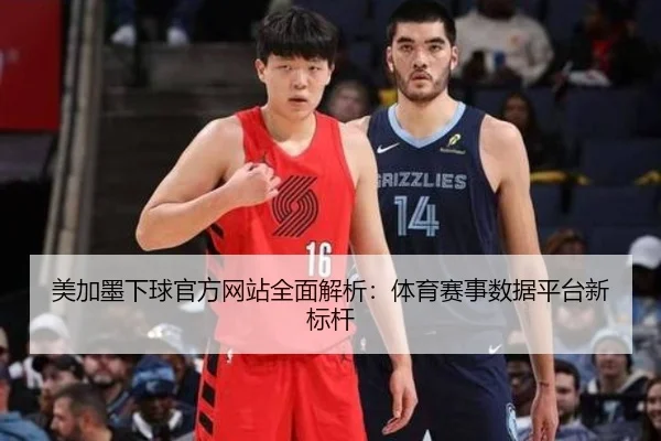 美加墨下球官方网站全面解析：体育赛事数据平台新标杆
