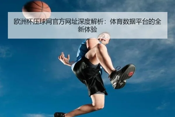 欧洲杯压球网官方网址深度解析：体育数据平台的全新体验