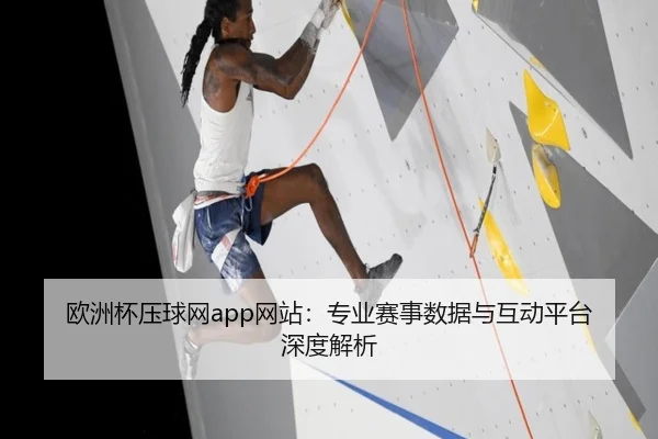 欧洲杯压球网app网站：专业赛事数据与互动平台深度解析